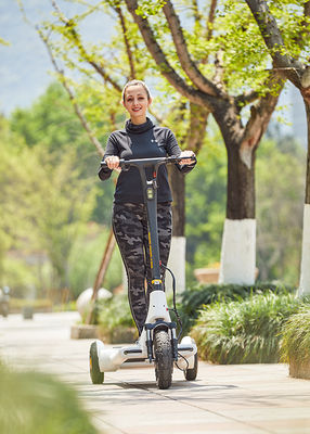 Lithium Battery Alu Alloy Airuide Electric E Scooter