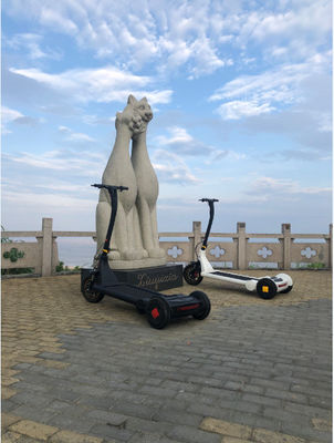 8h Charging Precursor Driving Adult Folding Scooter