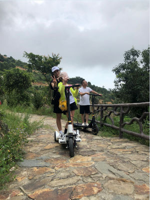 CE DC Brushless Hub Motor Electric Balance Scooter