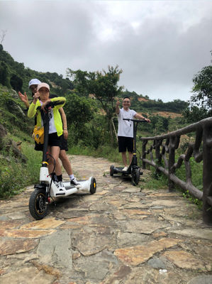 CE DC Brushless Hub Motor Electric Balance Scooter