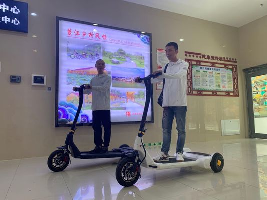 ROHS Folding Carbon Steel Electric Tricycle Scooter