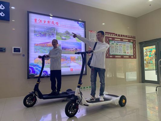 ROHS Folding Carbon Steel Electric Tricycle Scooter