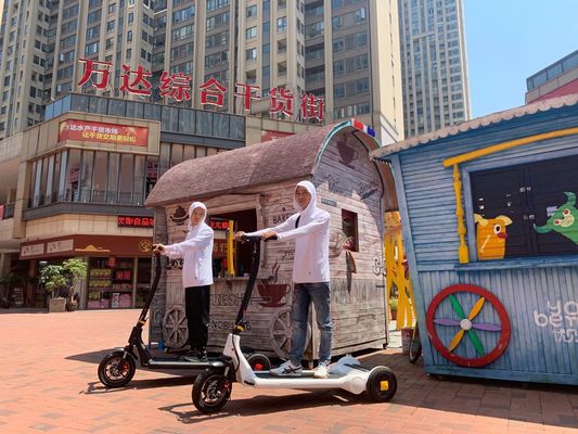 CE running belt 11.3Ah Battery Electric Trike Scooter