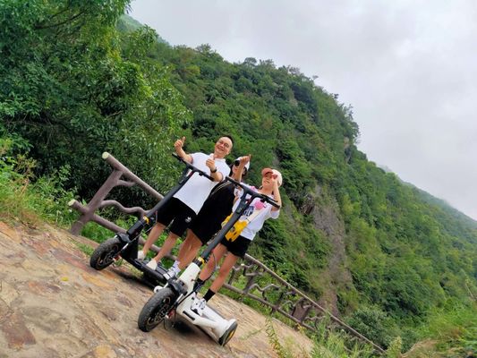 cycling Fitness 250W Personal Electric  Scoot E Bike