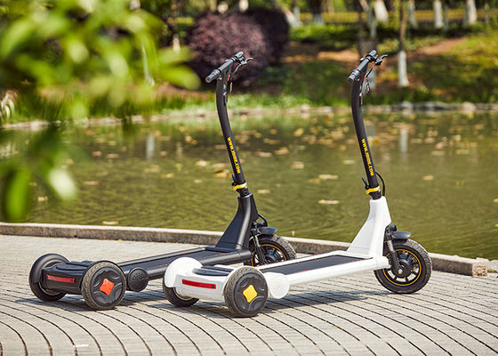 Anti Skid Mileage 45Km L1600mm Off Road Kick Scooter