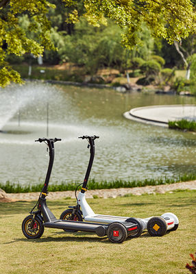 36V Special Lithium Battery H1340mm 3 Wheel E Scooter