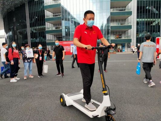 11.3Ah Li-Ion Battery Rain Proof Electric Scooter