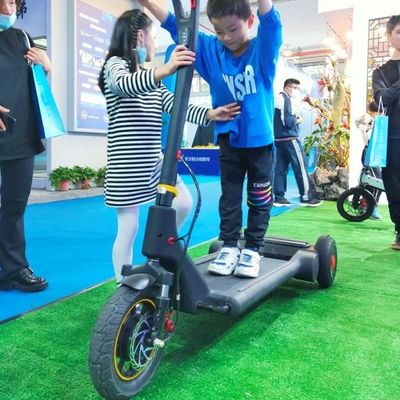 36V Lithium 11.3Ah  Two Wheel Self Balancing E Scooter portable