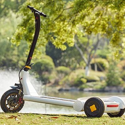 500w Fold Up Portable Electric Scooter DC Brushless Hub Motor