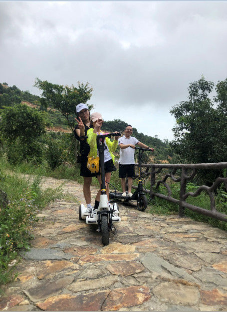 CE DC Brushless Hub Motor Electric Balance Scooter