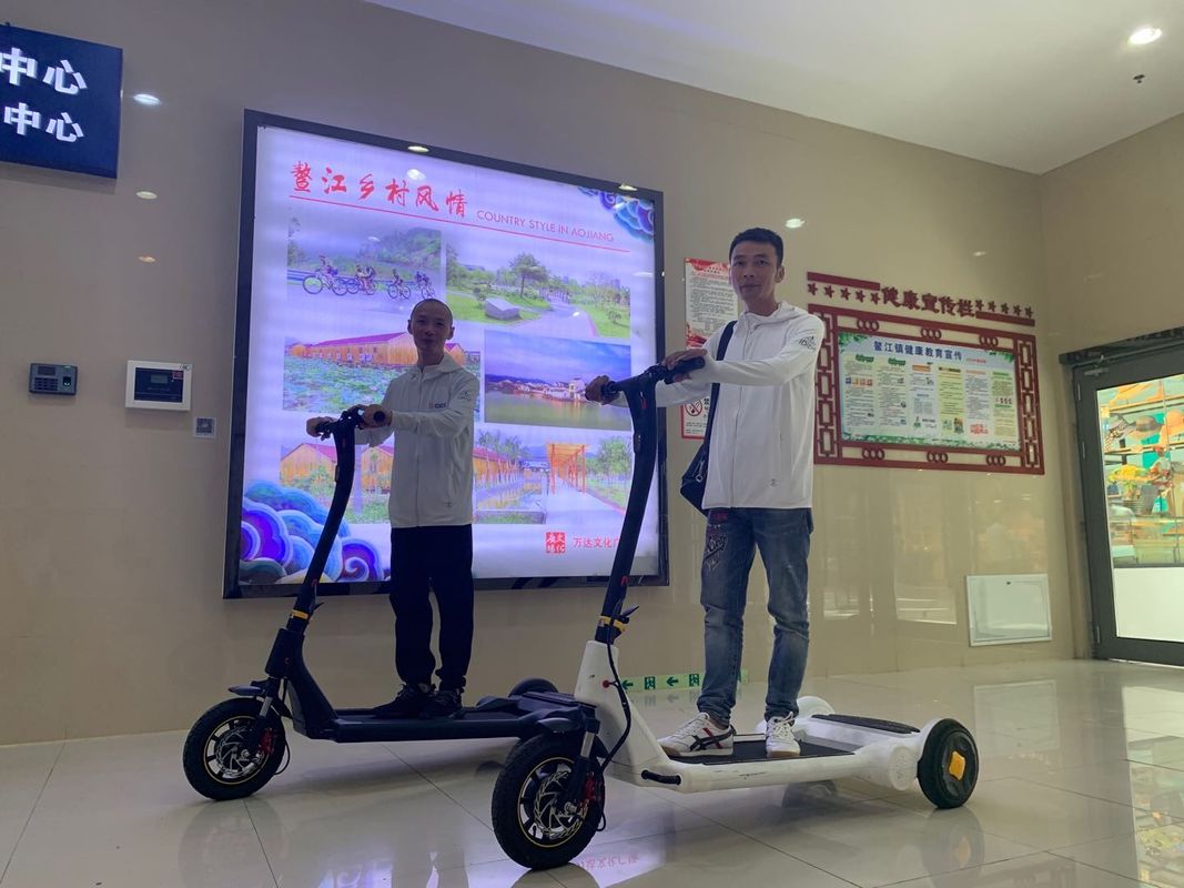 ROHS Folding Carbon Steel Electric Tricycle Scooter