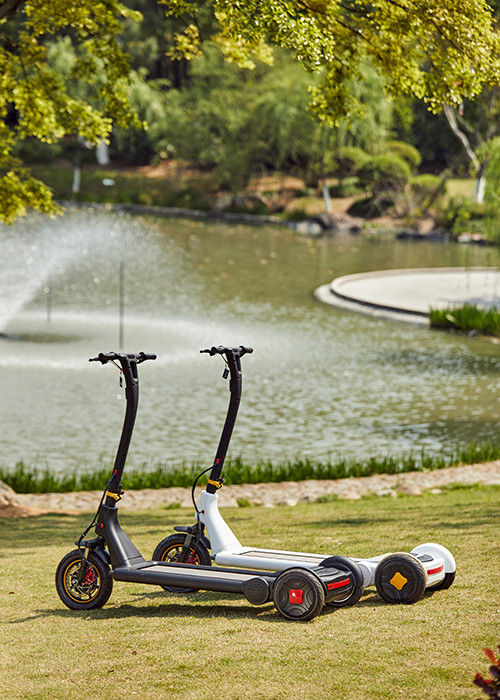 36V Special Lithium Battery H1340mm 3 Wheel E Scooter