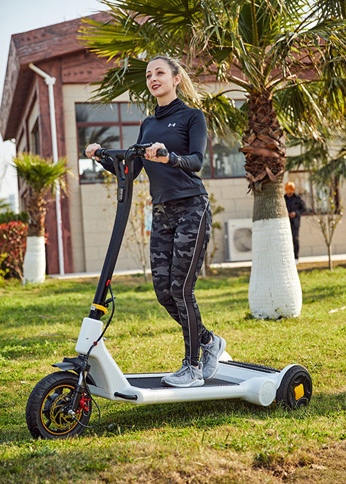 Ultralight 30KG Mileage 30km Folding Commuter Scooter