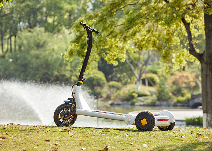 Brushless Motor L1600mm Portable Folding Scooter