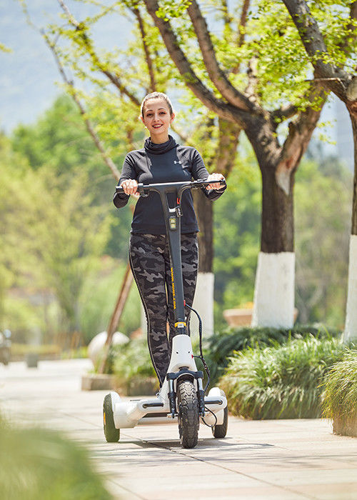 Aviation Magnesium Alloy 30KG Self Balancing Electric Scooter