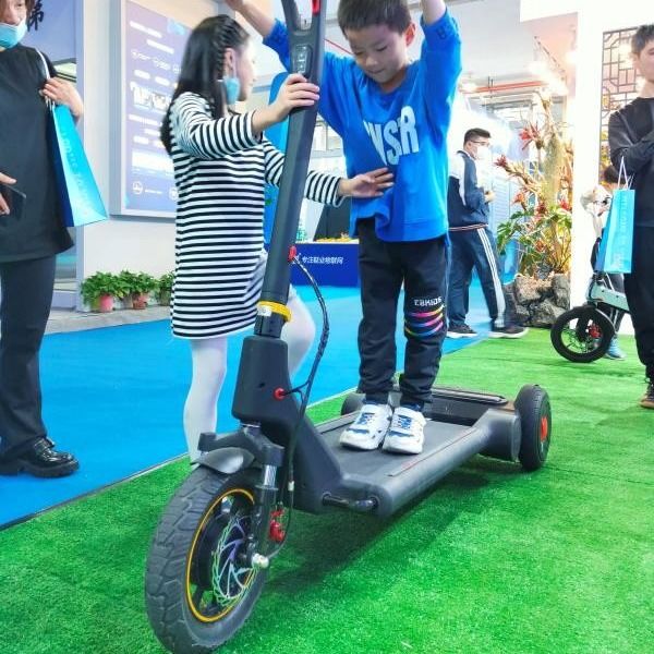 36V Lithium 11.3Ah  Two Wheel Self Balancing E Scooter portable